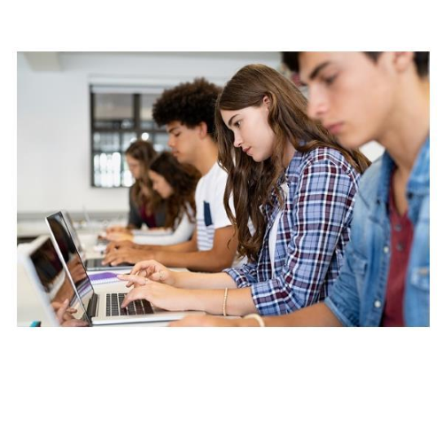 BRICKSLAB LIC.IST.SUP.DOC/STUD ILLIM.25GB 1Y